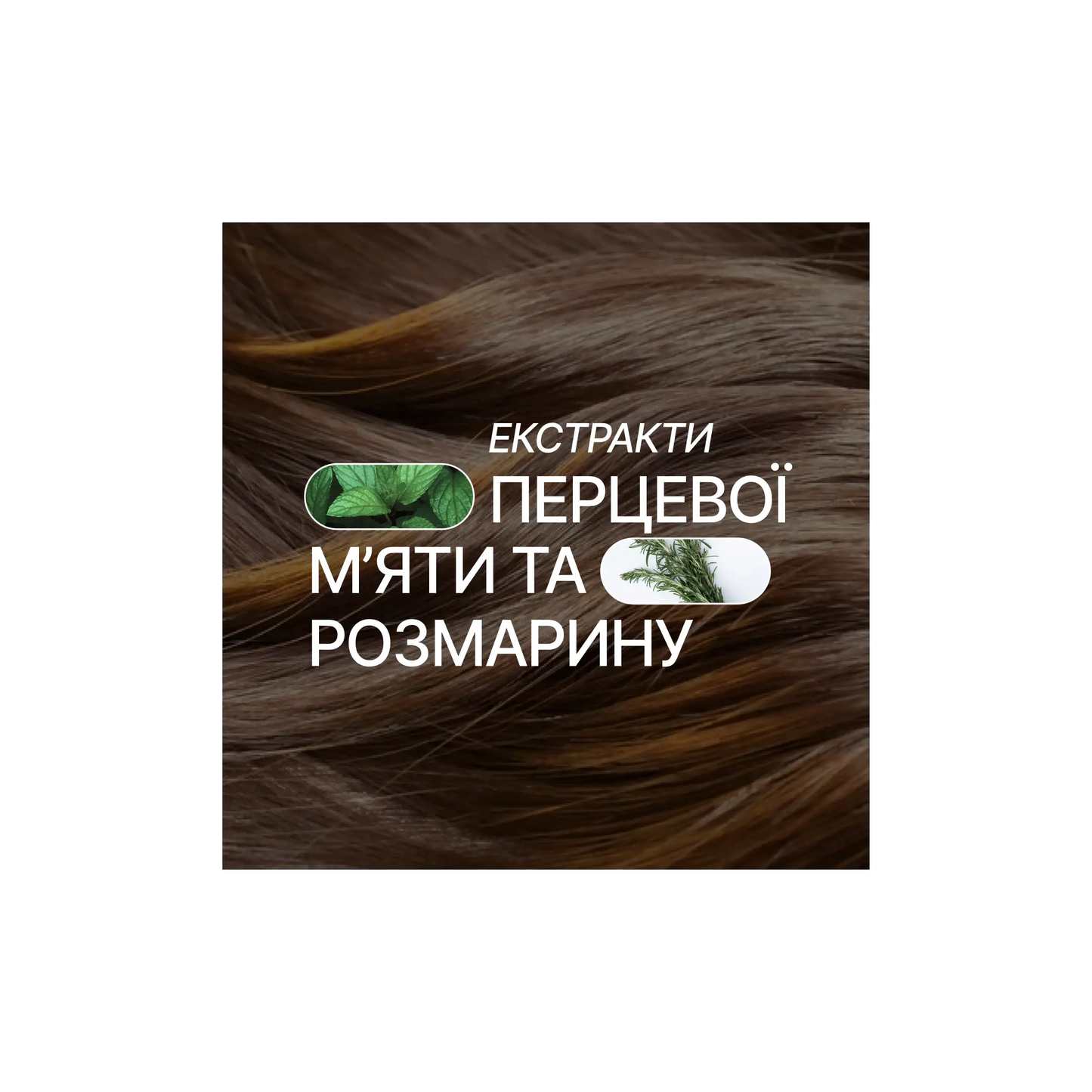 Набір для волосся Rosemary Peppermint - Серія догляду за волоссям
